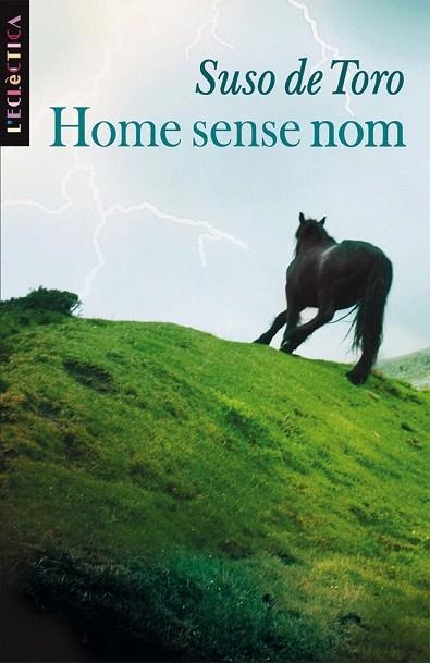 HOME SENSE NOM (ECLECTICA 127) | 9788498241020 | TORO, SUSO DE | Llibreria La Gralla | Llibreria online de Granollers