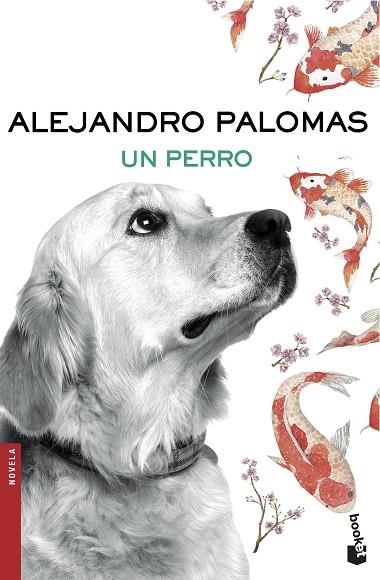 PERRO, UN  | 9788423351862 | PALOMAS, ALEJANDRO | Llibreria La Gralla | Llibreria online de Granollers
