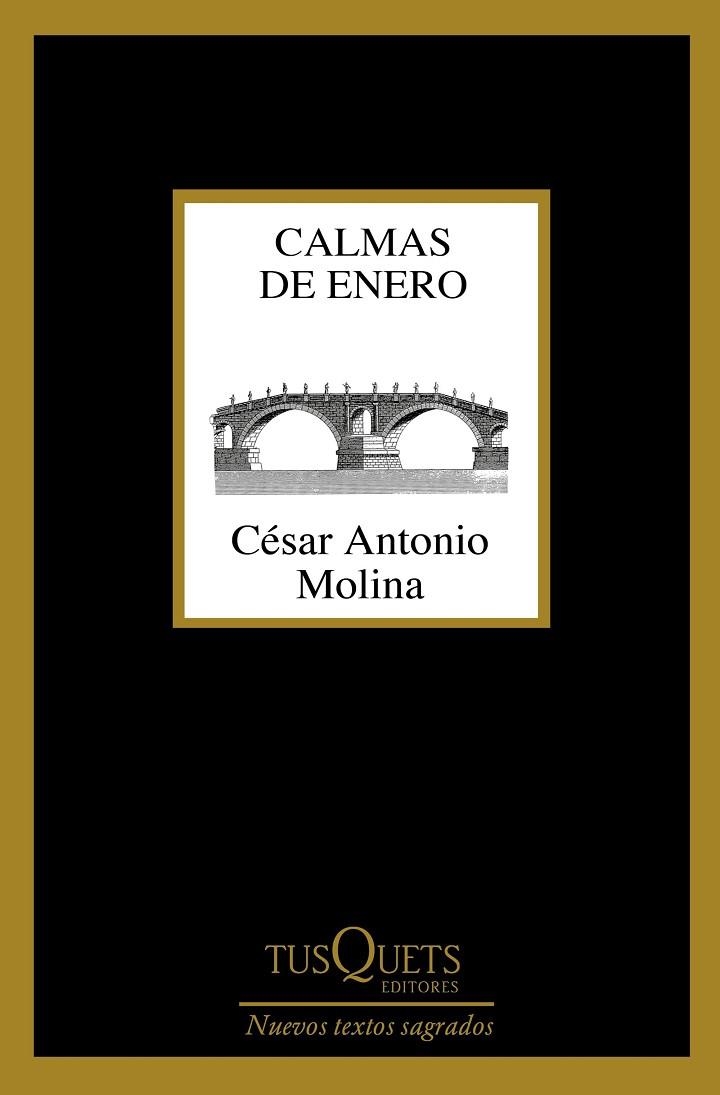 CALMAS DE ENERO | 9788490664704 | MOLINA, CÉSAR ANTONIO | Llibreria La Gralla | Llibreria online de Granollers