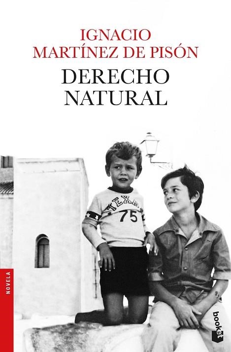 DERECHO NATURAL (BOLSILLO) | 9788432234279 | MARTÍNEZ DE PISÓN, IGNACIO | Llibreria La Gralla | Llibreria online de Granollers