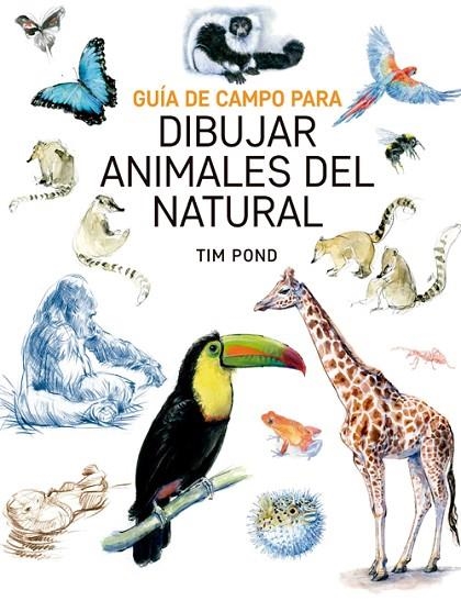 GUÍA DE CAMPO PARA DIBUJAR ANIMALES DEL NATURAL | 9788415053828 | BOND, TIM | Llibreria La Gralla | Llibreria online de Granollers