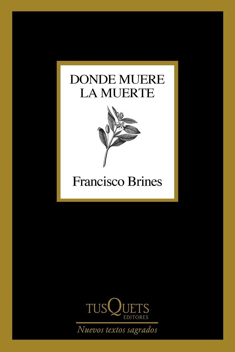 DONDE MUERE LA MUERTE | 9788411070188 | BRINES, FRANCISCO | Llibreria La Gralla | Llibreria online de Granollers