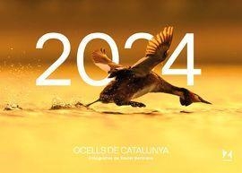  CALENDARI 2024 OCELLS DE CATALUNYA | 9781901175059 | MAPZINE | Llibreria La Gralla | Llibreria online de Granollers