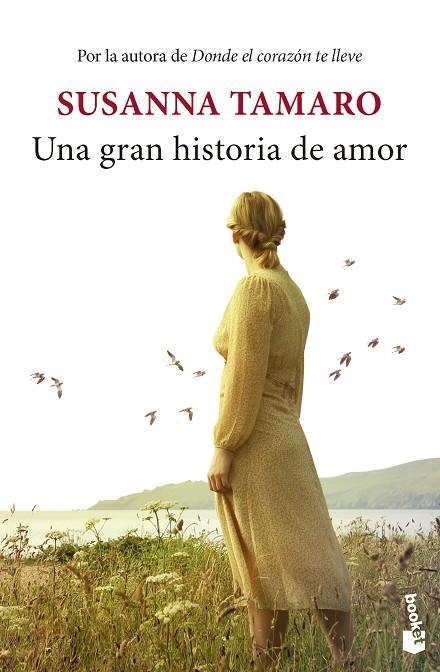 GRAN HISTORIA DE AMOR, UNA  | 9788432242618 | TAMARO, SUSANNA | Llibreria La Gralla | Llibreria online de Granollers
