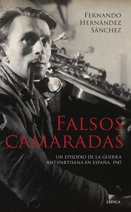 FALSOS CAMARADAS | 9788491995739 | HERNÁNDEZ SÁNCHEZ, FERNANDO | Llibreria La Gralla | Llibreria online de Granollers