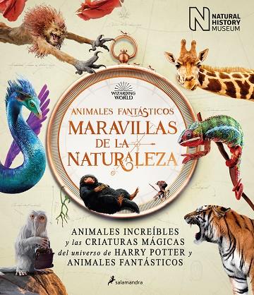 ANIMALES FANTÁSTICOS: MARAVILLAS DE LA NATURALEZA | 9788418637056 | THE NATIONAL HISTORY MUSEUM, | Llibreria La Gralla | Llibreria online de Granollers
