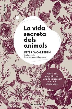 LA VIDA SECRETA DELS ANIMALS | 9788413561820 | WOHLLEBEN, PETER | Llibreria La Gralla | Llibreria online de Granollers