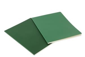 LLIBRETA MOLESKINE VOLANT RATLLAT (PACK DE 2) 19X25  | 9788862937931 | Llibreria La Gralla | Llibreria online de Granollers