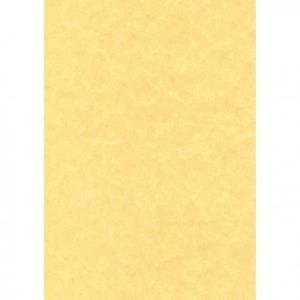 PAPER PERGAMI 70X50 | PERG7050 | Llibreria La Gralla | Librería online de Granollers