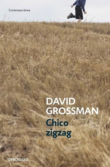 CHICO ZIGZAG | 9788499894805 | GROSSMAN, DAVID | Llibreria La Gralla | Llibreria online de Granollers