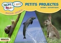 RALET RALET P3 PETITS PROJECTES | 9788448927523 | GIL, ROSA/BALDÓ, ESTEL/SOLIVA, MARIA | Llibreria La Gralla | Llibreria online de Granollers