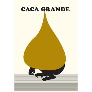 CACA GRANDE | 9788492480647 | AMORALES, CARLOS | Llibreria La Gralla | Librería online de Granollers
