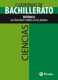 GRAMATICA II ANALISIS DE ORACION COMPUESTA | 9788421660683 | FERRER MARÍ, NATIVIDAD/GARCÍA VICENTE, MIGUEL/MEDINA MARTÍNEZ, MANUEL | Llibreria La Gralla | Llibreria online de Granollers