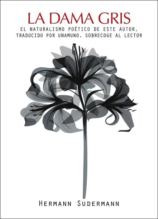 DAMA GRIS, LA | 9788492806010 | SUDERMANN, HERMANN | Llibreria La Gralla | Librería online de Granollers