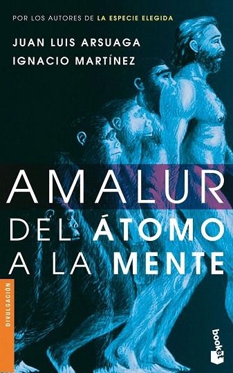 AMALUR (BOOKET, 3066) | 9788484605393 | MARTINEZ, IGNACIO; ARSUAGA, JUAN LUIS | Llibreria La Gralla | Librería online de Granollers