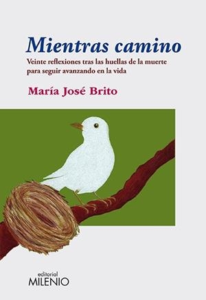 MIENTRAS CAMINO | 9788497434966 | BRITO, MARÍA JOSÉ | Llibreria La Gralla | Librería online de Granollers