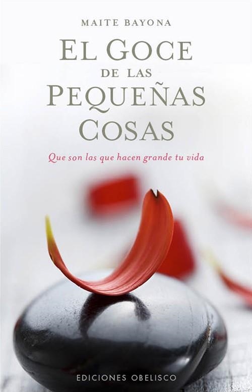 GOCE DE LAS PEQUEÑAS COSAS, EL | 9788497778831 | BAYONA, MAITE | Llibreria La Gralla | Librería online de Granollers