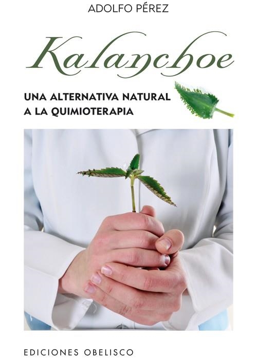 KALANCHOE | 9788497778862 | PÉREZ, ADOLFO | Llibreria La Gralla | Librería online de Granollers