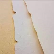 PAPER A4 CA L OLIVER PERGAMI 80GR CREMA/BLANC | 8435072824797 | CAL890402/01 | Llibreria La Gralla | Librería online de Granollers