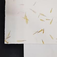 PAPER CA L'OLIVER RECICLAT A4 XISPEJAT | 8435072813821 | CAL090627 | Llibreria La Gralla | Llibreria online de Granollers