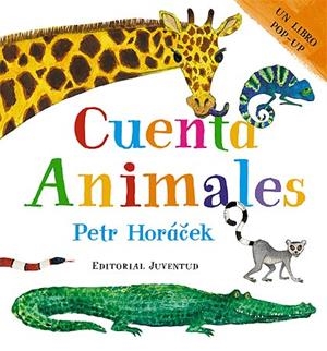 CUENTA ANIMALES (LIBRO POP UP) | 9788426139115 | HORACEK, PETR | Llibreria La Gralla | Librería online de Granollers