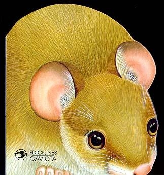 RATON EN EL CAMPO, UN | 9788439283638 | Llibreria La Gralla | Llibreria online de Granollers