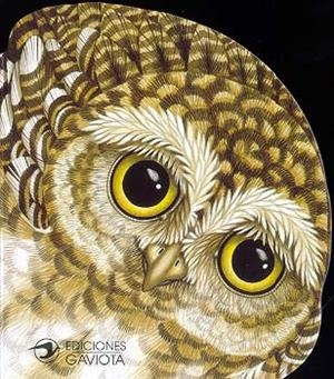 MOCHUELO EN LA NOCHE, UN | 9788439283645 | LORELLA RIZZATTI | Llibreria La Gralla | Librería online de Granollers