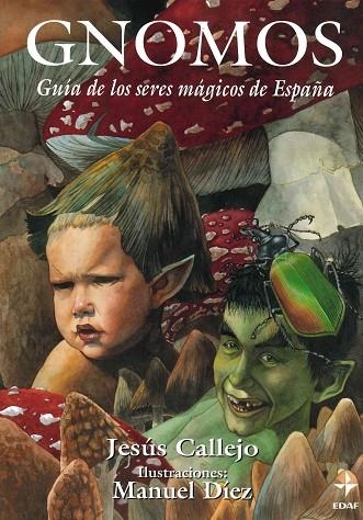 GNOMOS.GUIA DE LOS SERES MAGICOS DE ESPAÑA | 9788441400634 | CALLEJO,JESUS | Llibreria La Gralla | Librería online de Granollers