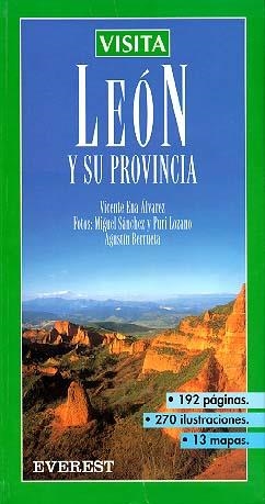 VISITA LEON Y SU PROVINCIA | 9788424138196 | ENA ALVAREZ, VICENTE | Llibreria La Gralla | Librería online de Granollers
