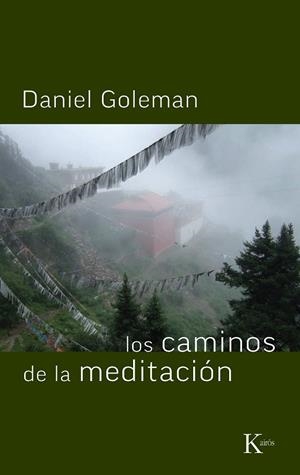 CAMINOS DE LA MEDITACION, LOS | 9788472451612 | GOLEMAN, DANIEL | Llibreria La Gralla | Llibreria online de Granollers