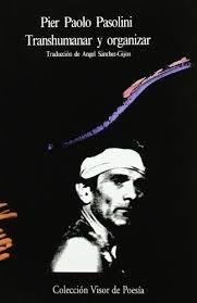TRANSHUMAR Y ORGANIZAR | 9788475221397 | PASOLINI, PIER PAOLO | Llibreria La Gralla | Llibreria online de Granollers