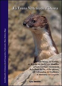 FAUNA VERTEBRADA D'OSONA, LA | 9788487334245 | BAUCELLS I COLOMER, JORDI I ALTRES | Llibreria La Gralla | Llibreria online de Granollers