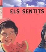 SENTITS, ELS (DESCOBRIM 2) | 9788424602727 | PORTELL RIFÀ, JOAN/ARÀNEGA, SUSANNA | Llibreria La Gralla | Llibreria online de Granollers