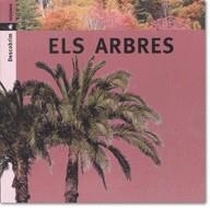 ARBRES, ELS (DESCOBRIM 4) | 9788424602741 | PORTELL RIFÀ, JOAN/ARÀNEGA, SUSANNA | Llibreria La Gralla | Librería online de Granollers