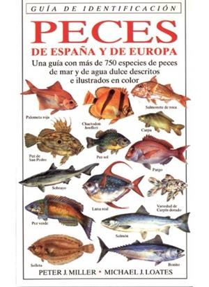 PECES DE ESPAÑA Y DE EUROPA (GUIA DE IDENTIFICACIÓN) | 9788428211239 | MILLER, PETER J. / LOATES, MICHAEL J. | Llibreria La Gralla | Librería online de Granollers