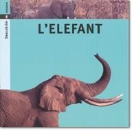 ELEFANT, L' (DESCOBRIM 3) | 9788424602734 | PORTELL RIFÀ, JOAN/ARÀNEGA, SUSANNA | Llibreria La Gralla | Librería online de Granollers
