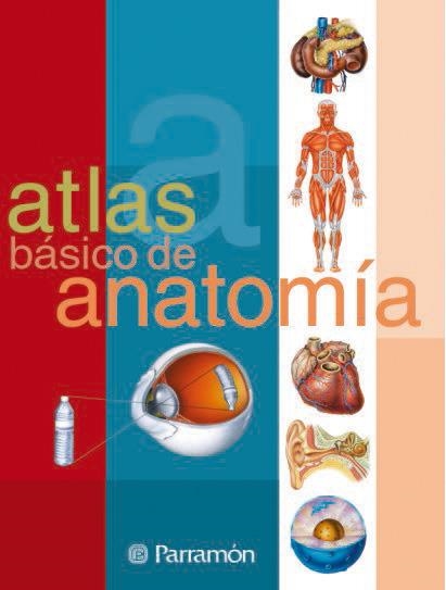 ATLAS BASICO DE ANATOMIA | 9788434223141 | CASSAN TACHLITZKY, ADOLFO | Llibreria La Gralla | Llibreria online de Granollers