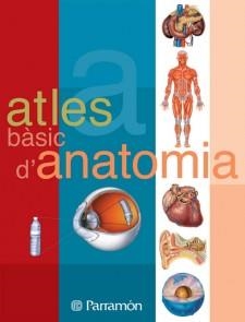 ATLES BASIC D'ANATOMIA | 9788434223134 | PARRAMON | Llibreria La Gralla | Llibreria online de Granollers