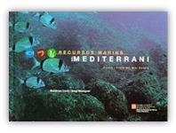 RECURSOS MARINS DEL MEDITERRANI FAUNA I FLORA DEL MAR CATALA | 9788439352440 | LLORIS, DOMENEC; MESEGUER, SERGI | Llibreria La Gralla | Llibreria online de Granollers