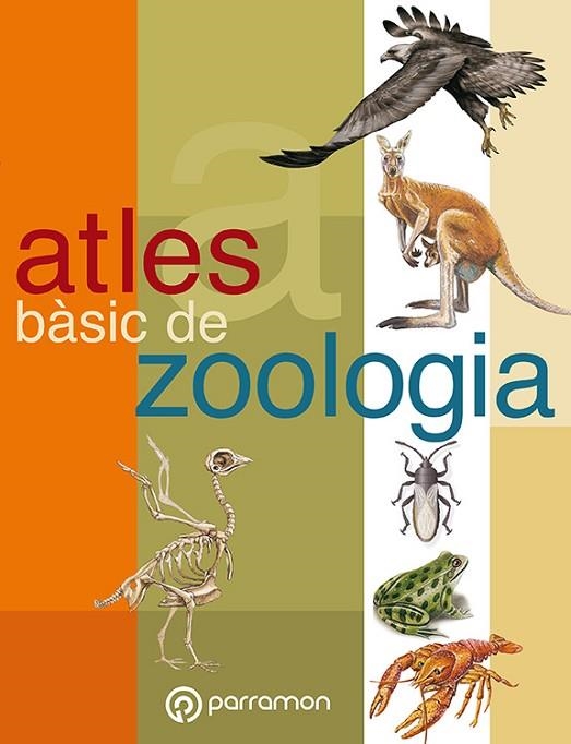 ATLES BASIC DE ZOOLOGIA (CATALA) | 9788434223462 | TOLA, JOSE; INFIESTA, EVA | Llibreria La Gralla | Llibreria online de Granollers