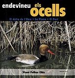 ENDEVINEU ELS OCELLS(COL.LECCIO EL GLOBUS 1) | 9788495684653 | PELLICER OLLES, VICENT | Llibreria La Gralla | Librería online de Granollers