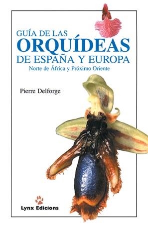 GUIA DE LAS ORQUIDEAS DE ESPAÑA Y EUROPA | 9788487334382 | DELFORGE, PIERRE | Llibreria La Gralla | Llibreria online de Granollers