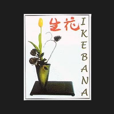 IKEBANA | 9788495275608 | MINGUET, JOSEP MARIA | Llibreria La Gralla | Llibreria online de Granollers
