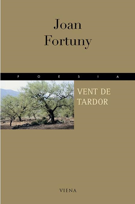 VENT DE TARDOR | 9788483301609 | FORTUNY, JOAN | Llibreria La Gralla | Librería online de Granollers