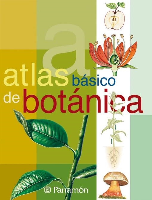 ATLAS BASICO DE BOTANICA | 9788434224643 | CUERDA QUINTANA, JOSEP/FARRÉS, JAUME | Llibreria La Gralla | Llibreria online de Granollers