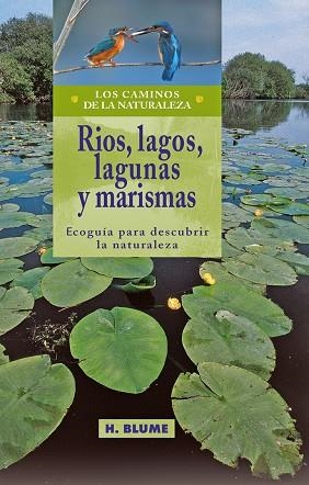 RIOS, LAGOS, LAGUNAS Y MARISMAS (ECOGUIA PARA DESCUBRIR LA N | 9788489840331 | VARIOS AUTORES | Llibreria La Gralla | Librería online de Granollers