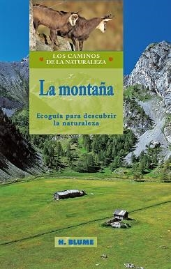 MONTAÑA, LA | 9788489840324 | VARIOS AUTORES | Llibreria La Gralla | Librería online de Granollers