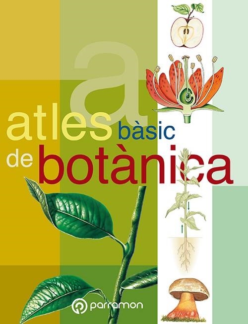 ATLES BASIC DE BOTANICA | 9788434224636 | PARRAMON | Llibreria La Gralla | Librería online de Granollers