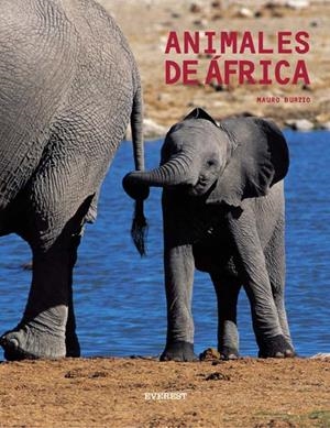 ANIMALES DE AFRICA | 9788424185053 | BURZIO, MAURO | Llibreria La Gralla | Llibreria online de Granollers