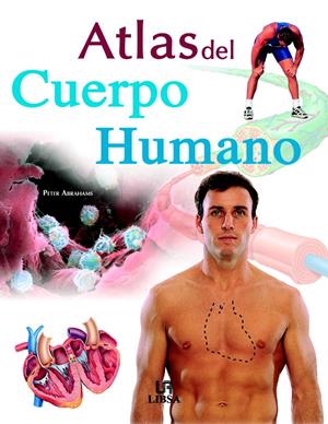 ATLAS DEL CUERPO HUMANO | 9788466208079 | ABRAHAMS, PETER | Llibreria La Gralla | Librería online de Granollers